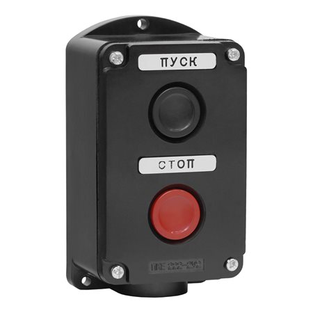 Пост ПКЕ 222/2 (2 кнопки, черный)